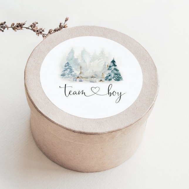 Winter woodland gender reveal team boy stickers (Creator Uploaded)