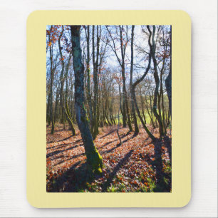 Winter woodland in France Mouse Mat