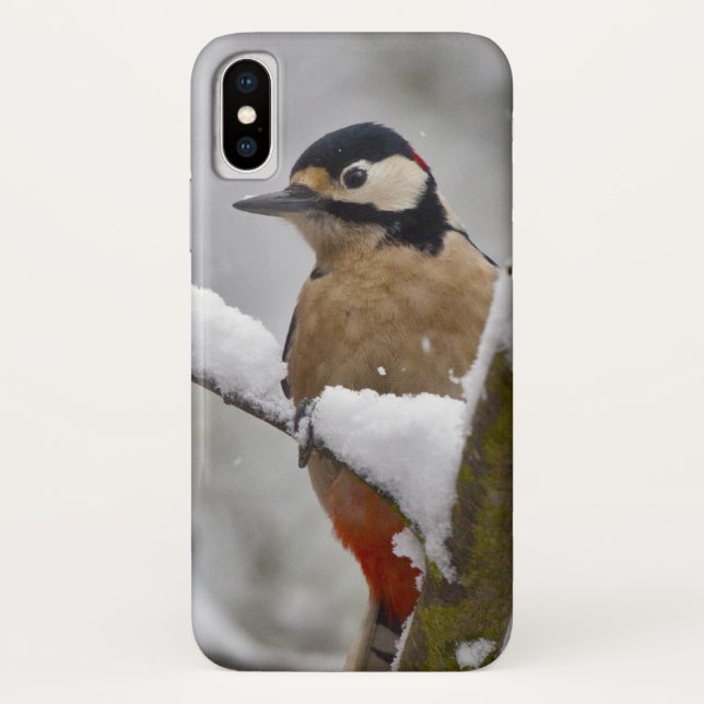 Winter Woodpecker iPhone X Case (Back)