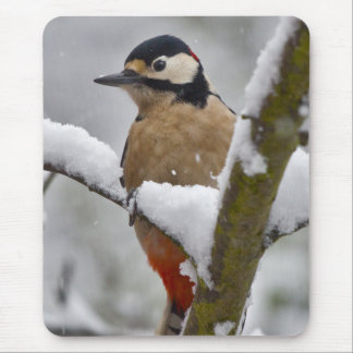 Winter Woodpecker Mousemat
