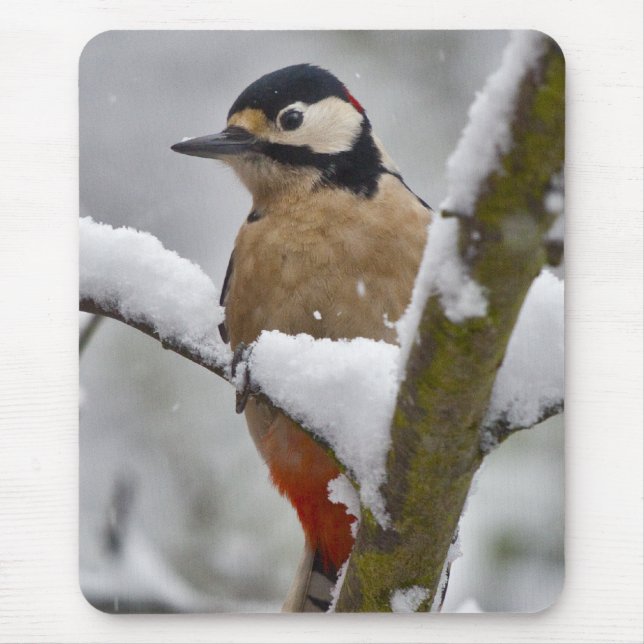 Winter Woodpecker Mousemat (Front)