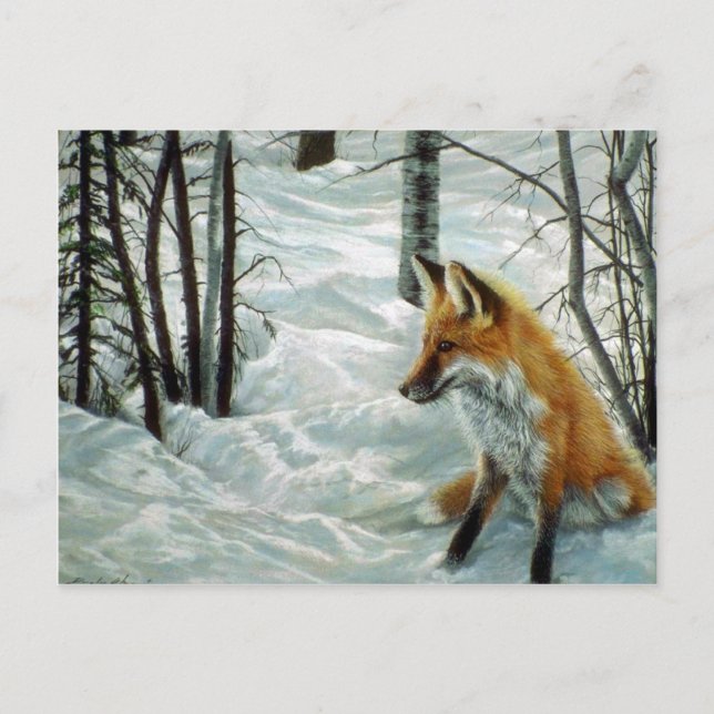 Winter woods, Fox Postcard (Front)