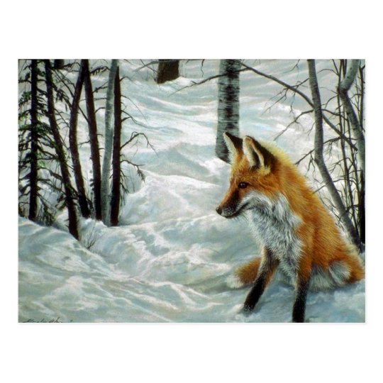 Winter woods, Fox Postcard