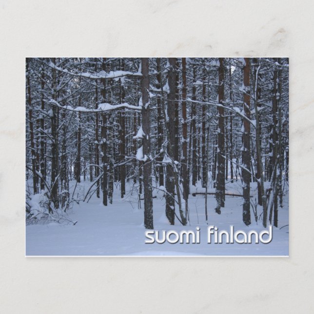 Winter Woods of Suomi Finland Postcard (Front)