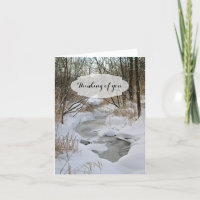 Winter Woods Photography Get Well