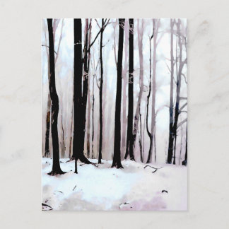 Winter woods scene postcard