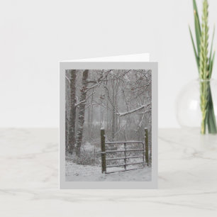 Winter woods snow scene greeting cards