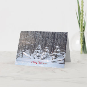 Winter Woods with pine tree Card