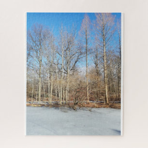 Winter woods with snow on sunny day jigsaw puzzle