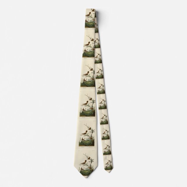 Winter Wren, Rock Wren, Audubon's Birds of America Tie (Front)