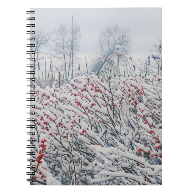 winterberry and cattails notebook (Front)