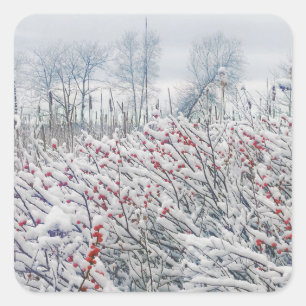 winterberry and cattails square sticker