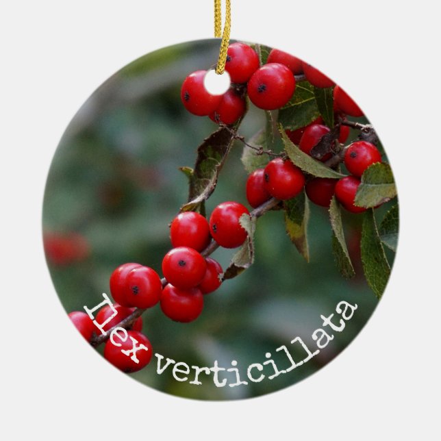 Winterberry Holly Botanical Ceramic Tree Decoration (Front)