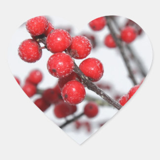 Winterberry Sticker