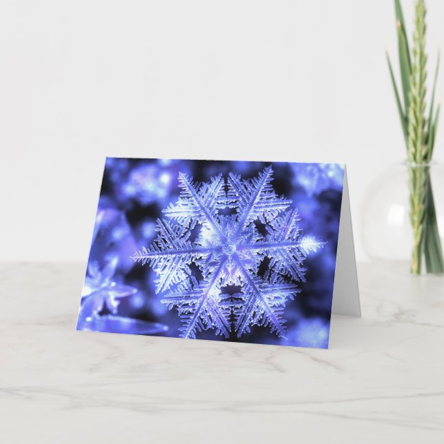 Winterborn Christmas Card (Front)