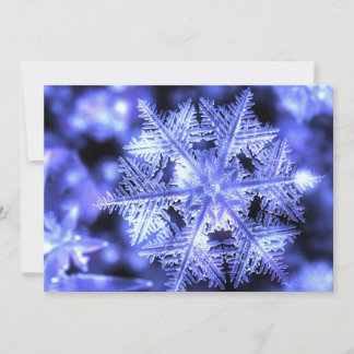 Winterborn Flat Christmas Card