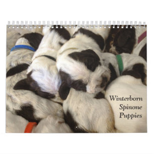 Winterborn Spinone ~ Revised ~ Puppy Calendar Med.