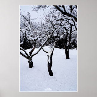 Winterland by Johannes Stötter Poster