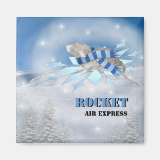 Winterland Journey Magnet
