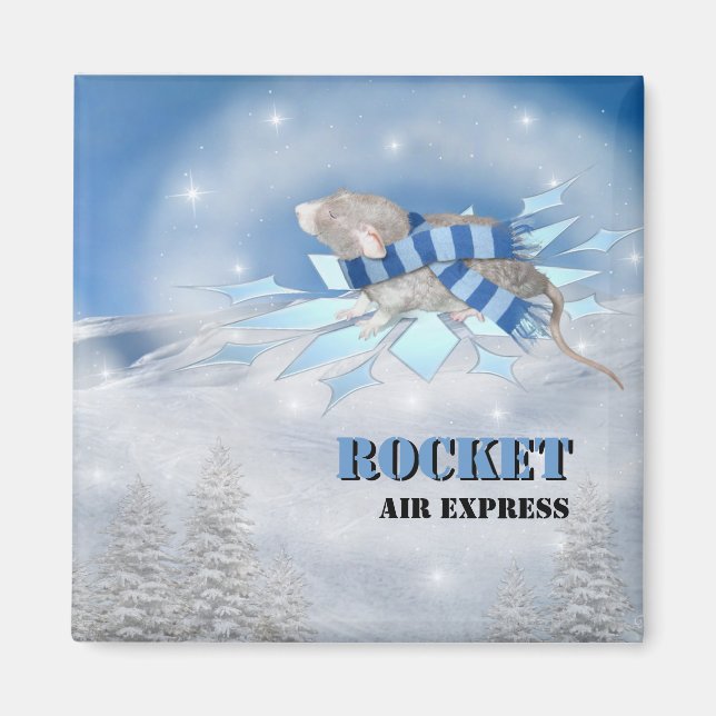 Winterland Journey Magnet (Front)