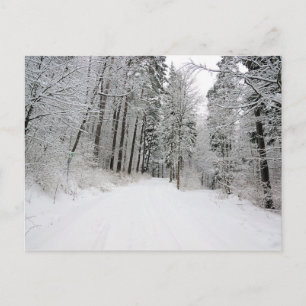 winterland postcard