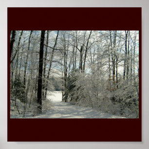 Winters Beauty Poster