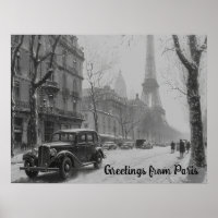 Winter's Embrace in Paris
