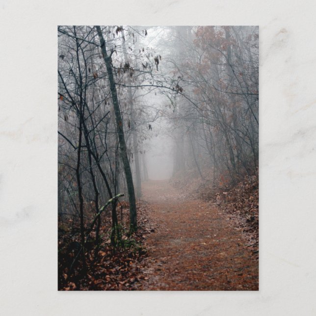 Winters Fog - No End in Sight on the Trail Gifts Postcard (Front)