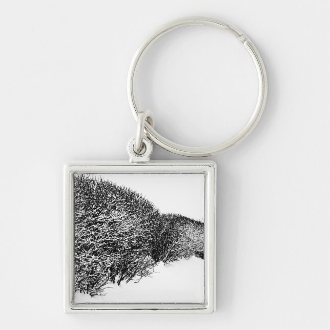 winter's hedge key ring (Front)