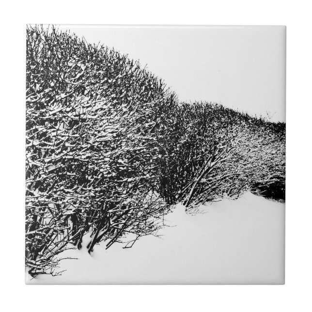 winter's hedge tile (Front)