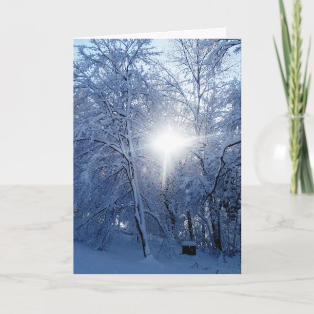 Winter's Kiss Holiday Card (Front)