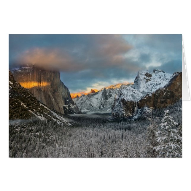 Winter's Mark (Front Horizontal)