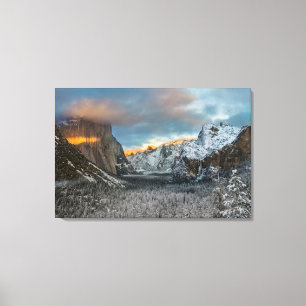 Winter's Mark Canvas Print