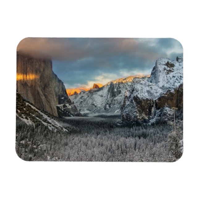 Winter's Mark Magnet (Horizontal)