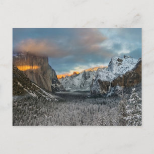 Winter's Mark Postcard