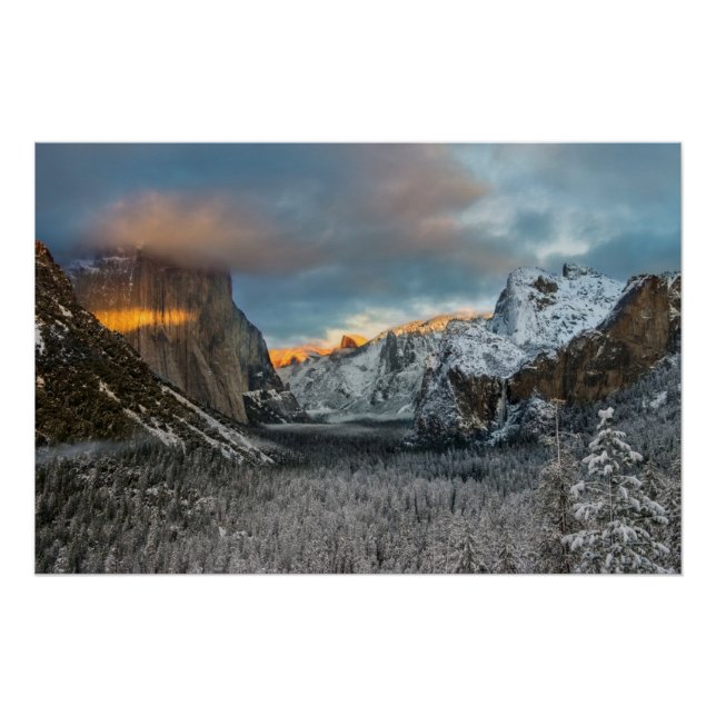 Winter's Mark Poster (Front)