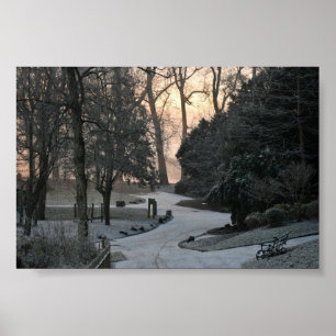 Winters Morning  Poster