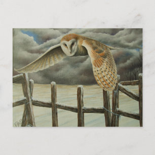 Winter's Owl Postcard