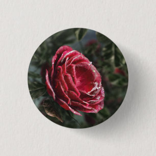 Winter's Parting Gift Button