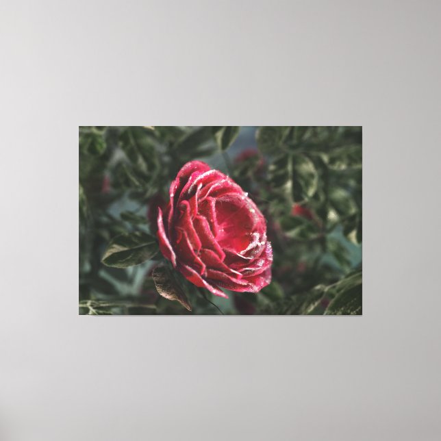 Winter's Parting Gift Canvas Print (Front)