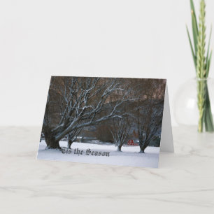 Winter's Silence Holiday Card