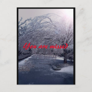 Winters Walk Postcard