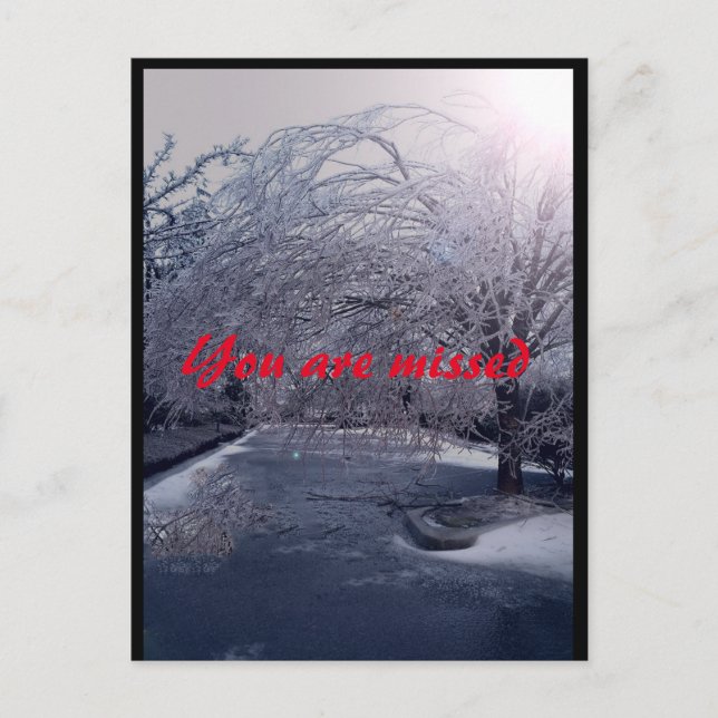 Winters Walk Postcard (Front)