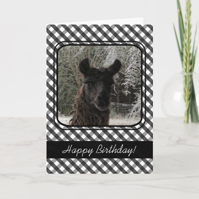 Wintertime Llama and Black Gingham Card (Front)