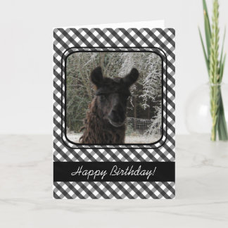 Wintertime Llama and Black Gingham Card
