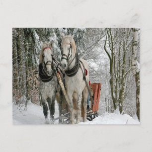 Wintertime Sleigh Ride Postcard