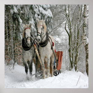 Wintertime Sleigh Ride Poster