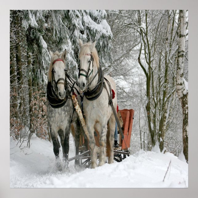 Wintertime Sleigh Ride Poster (Front)