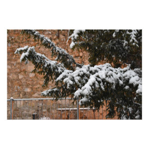 Wintertime , snow on the trees photo print