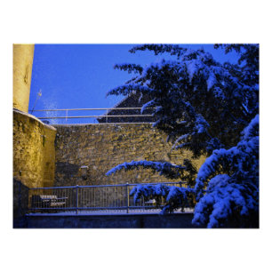 Wintertime , snow on the trees poster
